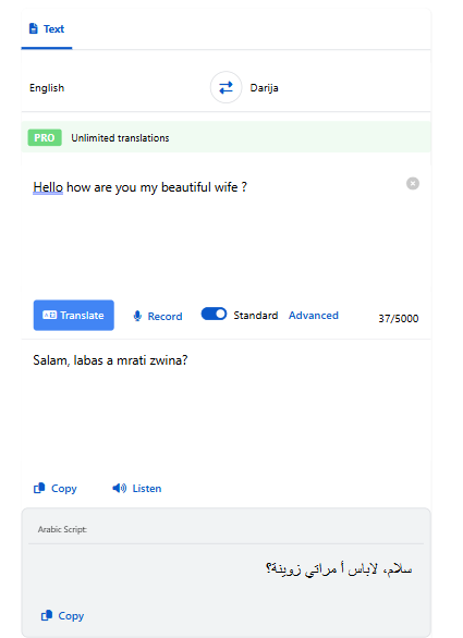 Translator Darija Interface